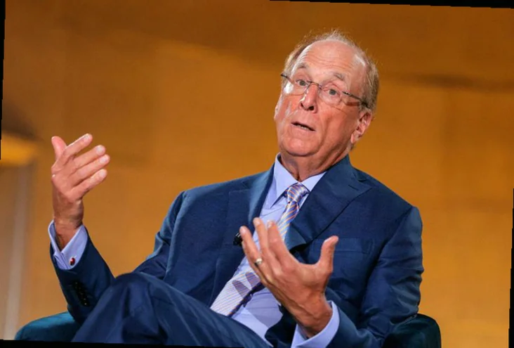 blackrock-ceo-fink-warns-global-053c