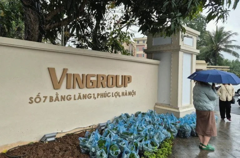 exclusive-vingroup-proposes-scrapping-lng-ccfc