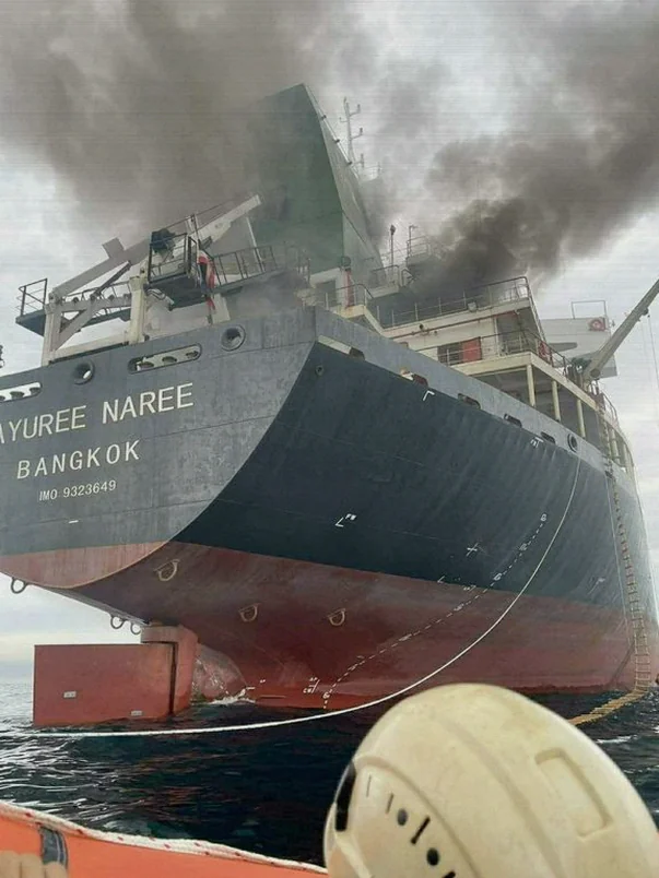 factbox-many-ships-have-attacked-a771