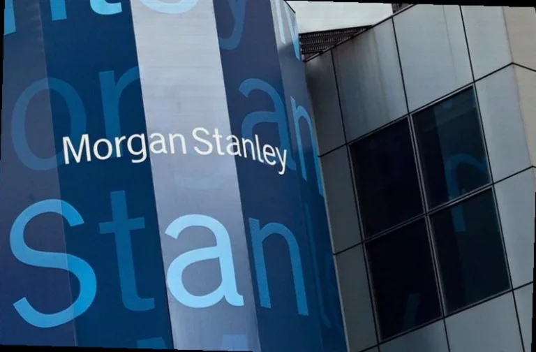 morgan-stanley-picks-top-india-510c