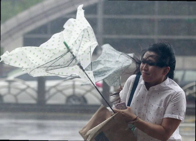 taiwan-stocks-higher-close-trade-d87f