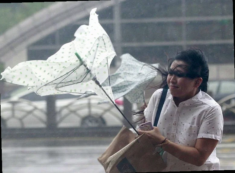 taiwan-stocks-lower-close-trade-6de1