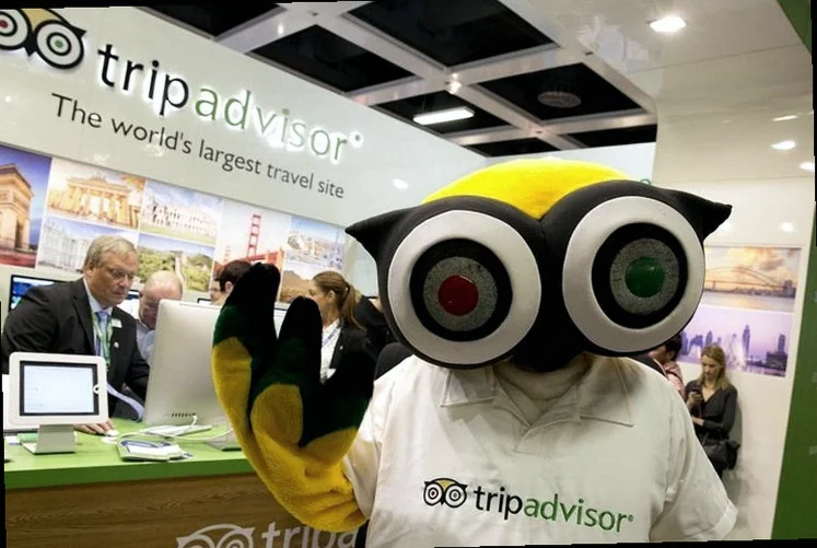 tripadvisor-upgraded-buy-activist-engagement-740d