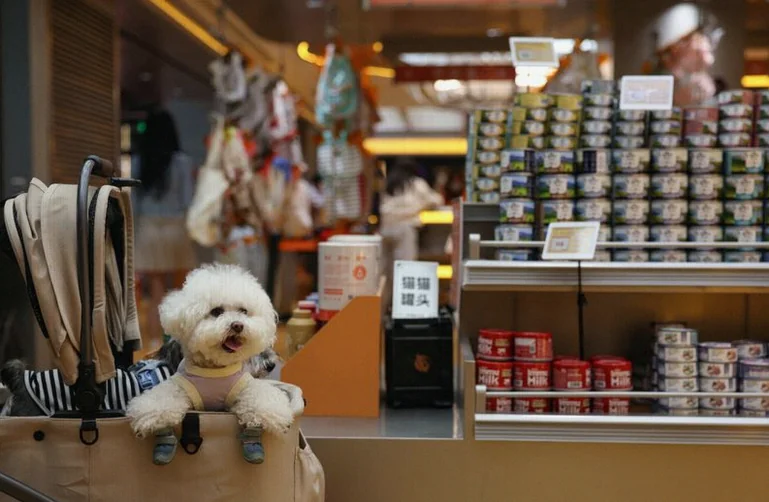 analysis-china-billion-pet-food-3b01