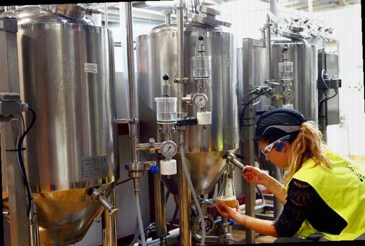 budweiser-maker-anheuser-busch-lays-a484