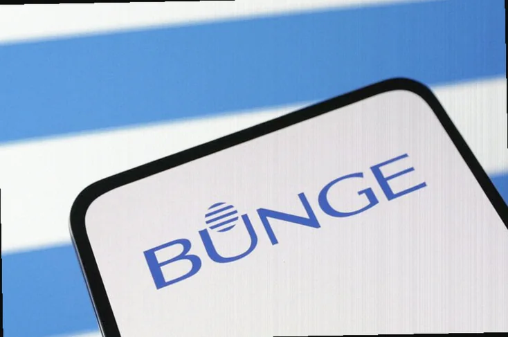 bunge-boosts-earnings-outlook-strong-8d50