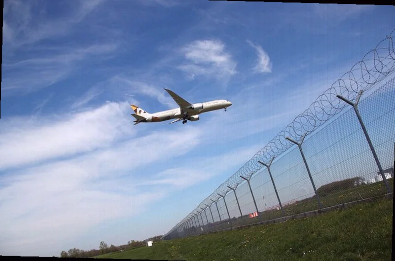 factbox-airlines-cancel-flights-amid-fddf