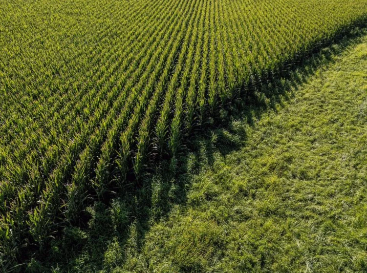 north-american-farmers-pinch-pennies-e1a7