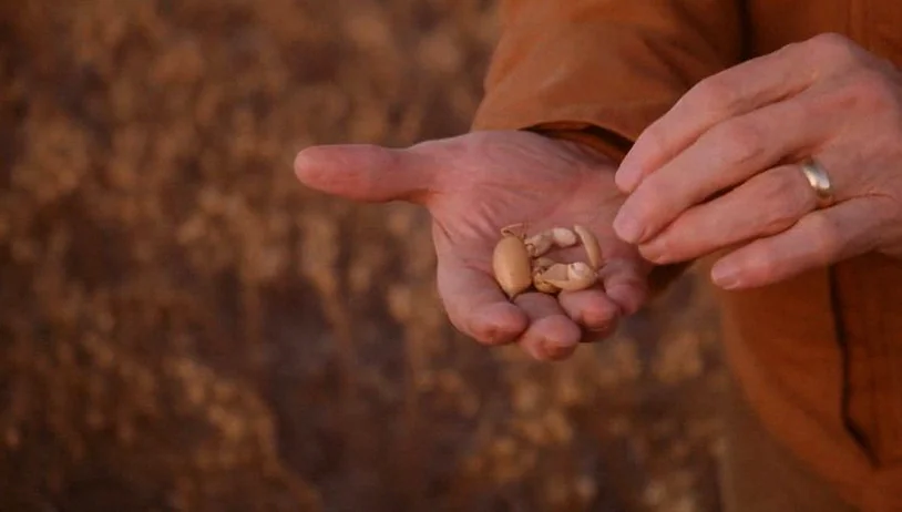 protein-maxxing-glp-have-farmers-6d4a