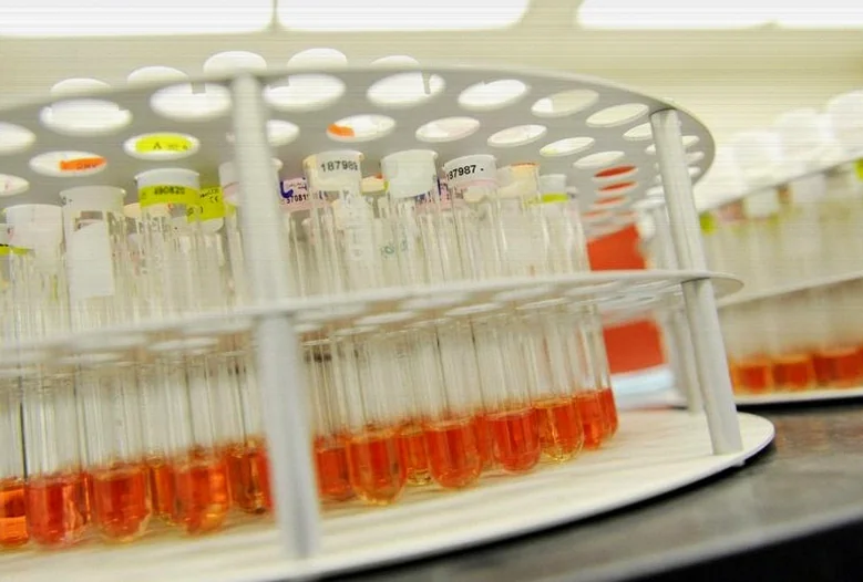 replimune-sinks-second-fda-rejection-5784