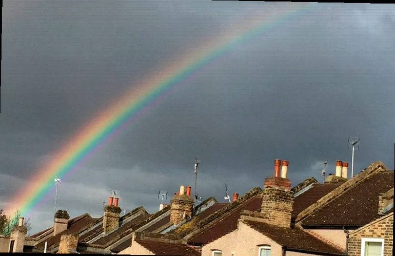 rightmove-shares-fall-bln-estate-f884