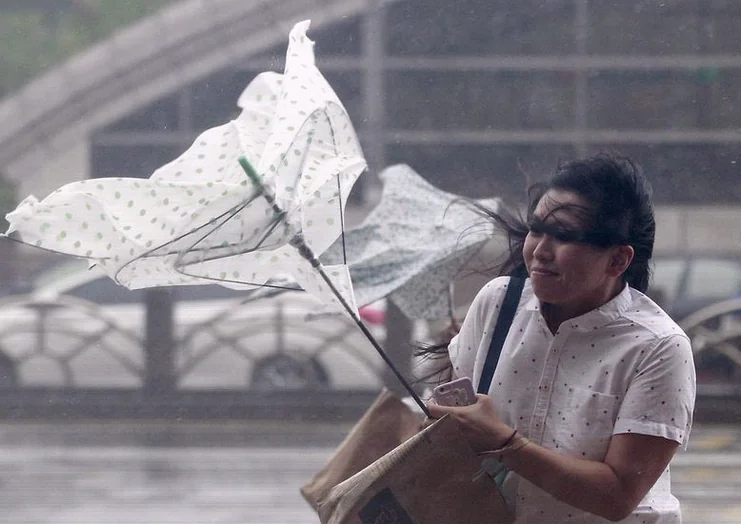 taiwan-stocks-higher-close-trade-0c9d