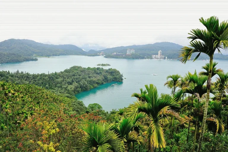 taiwan-stocks-higher-close-trade-78d7