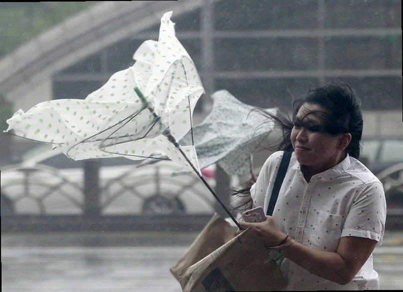 taiwan-stocks-lower-close-trade-41b0