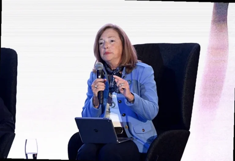 usa-rare-earth-ceo-defends-855d