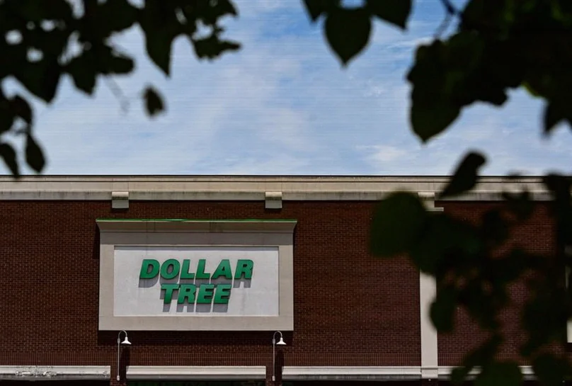 dollar-tree-raises-annual-profit-b9a9
