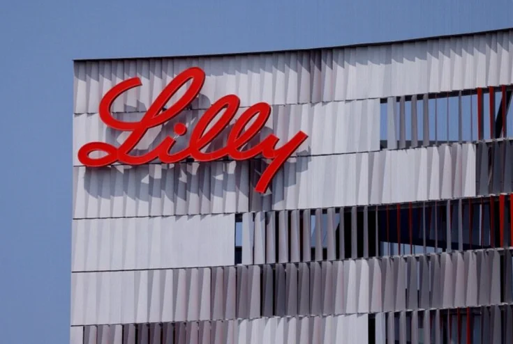 why-eli-lilly-stock-down-c284