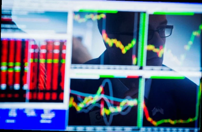 why-vital-farms-stock-gaining-0079