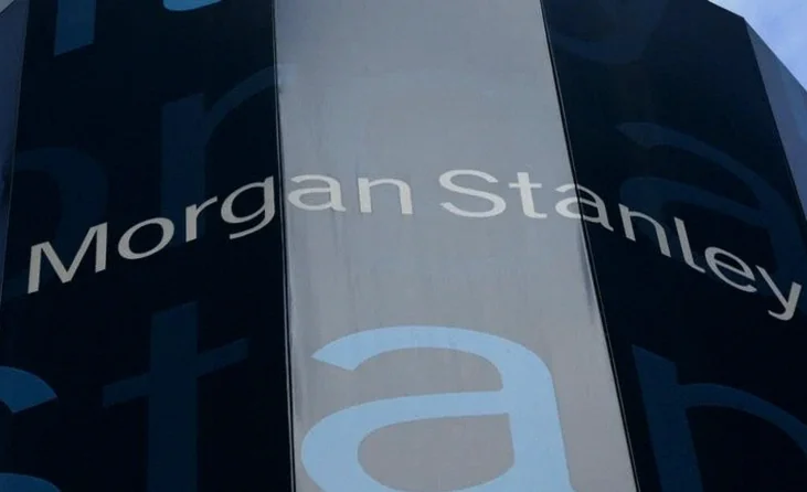 morgan-stanley-picks-top-indian-ce98